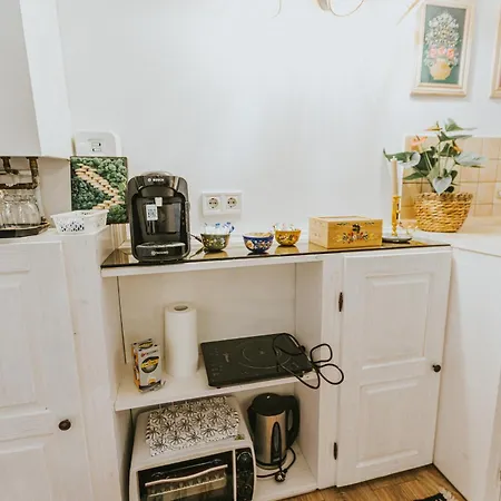 Apartment Republicii Rustic In Center *