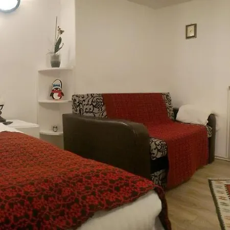 Republicii Rustic In Center Apartment