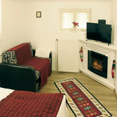 Republicii Rustic In Center Apartment