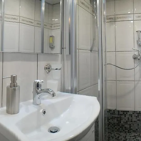 Apartment Republicii Rustic In Center Brasov